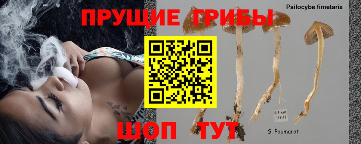 Сертолово  Галлюциногенные грибы Magic Shrooms  Вход с VPN 